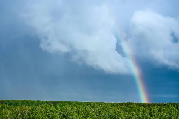 Duha Dešti Létě Modré Obloze Bílé Mraky Nad Lesem — Stock fotografie