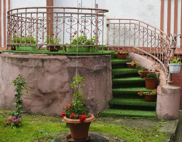 Круглая Бетонная Лестница Цветами Горшках Зеленом Саду — стоковое фото