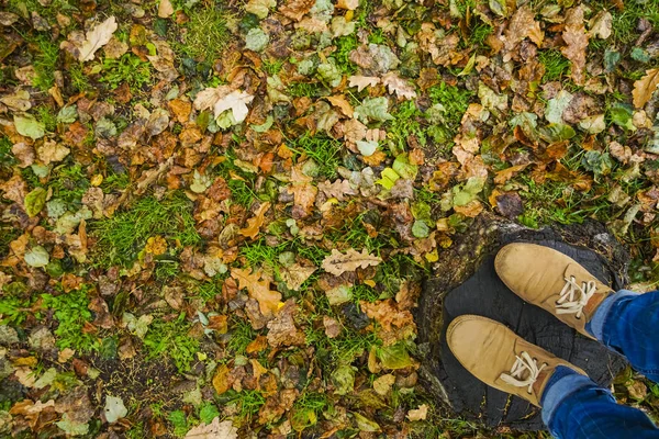 Muž Hnědých Kožených Botách Stojící Staré Kolem Pařezu Mezi Podzimním — Stock fotografie