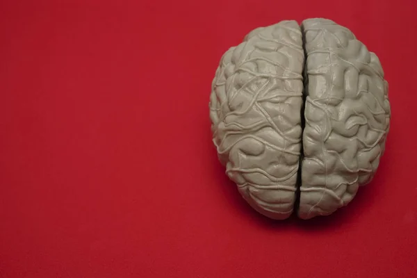 Psicologia Invenzione Malattia Mentale Concetto Idea Vicino Cervello Con Ingranaggi — Foto Stock