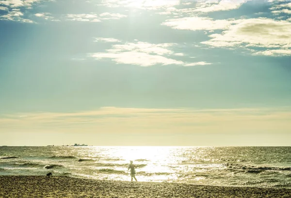 Camminare Cane Runniung Uomo Silhouette Sulla Spiaggia Tramonto — Foto Stock