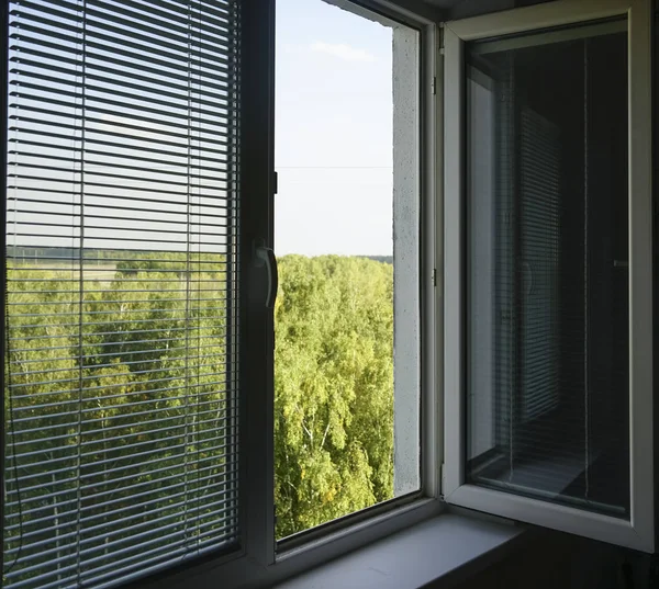 打开窗口与百叶窗 盲人在夏天 — 图库照片