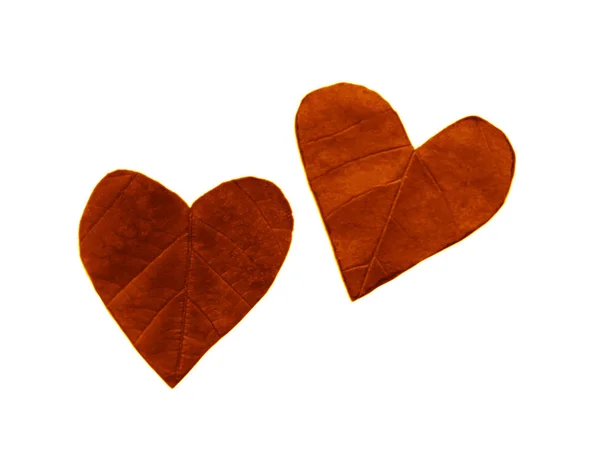 Two Hearts Cutting Leaves Isolated White Background — Stock Photo, Image