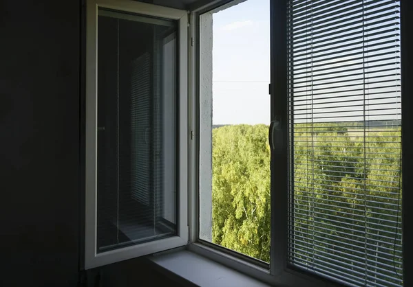 打开窗口与百叶窗 盲人在夏天 — 图库照片