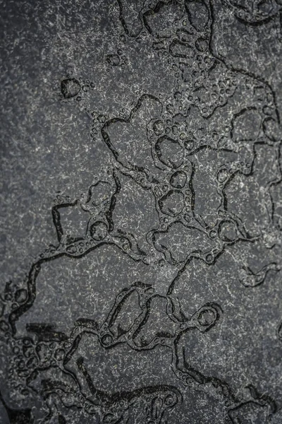 Primo Piano Gocce Acqua Piovana Cadere Terra — Foto Stock