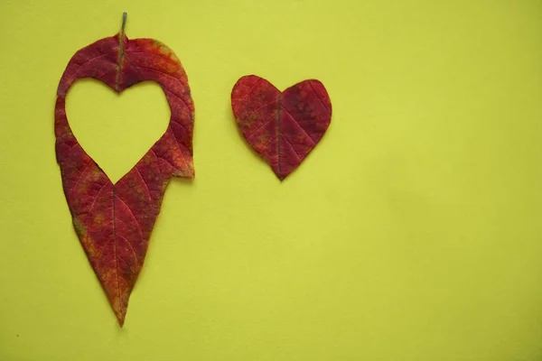 Kalp Kırmızı Yaprak Yeşil Kağıt Arka Plan Üzerinde Kesti Sonbahar — Stok fotoğraf