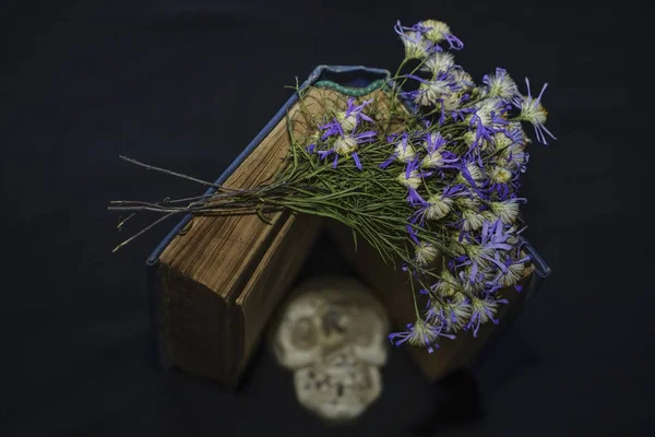 Stilleven Met Menselijke Schedel Retro Boek Droge Bloemen Zwarte Achtergrond — Stockfoto