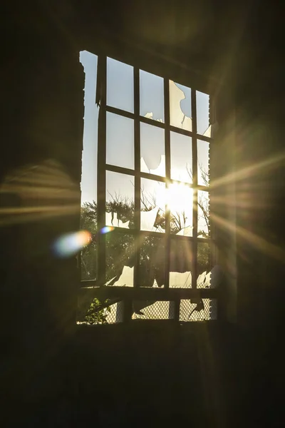 Sun Shining Window Wooden Frame Cracked Glass Sunny Rays People — Stock Photo, Image