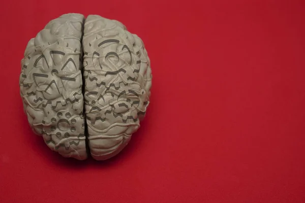 Psychologie Vynález Duševních Chorob Koncepce Detailní Záběr Mozku Převody Ozubená — Stock fotografie