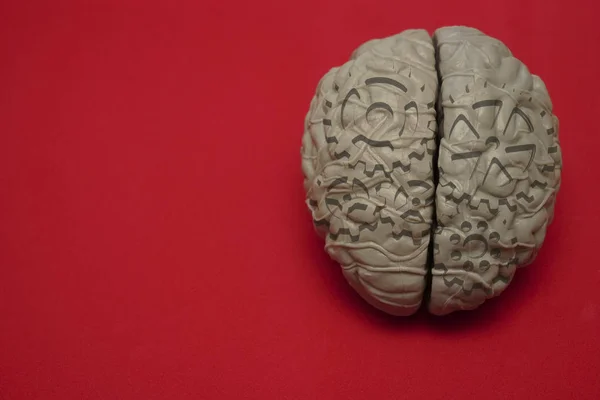 Psychologie Uitvinding Psychische Aandoeningen Idee Concept Close Een Hersenen Met — Stockfoto
