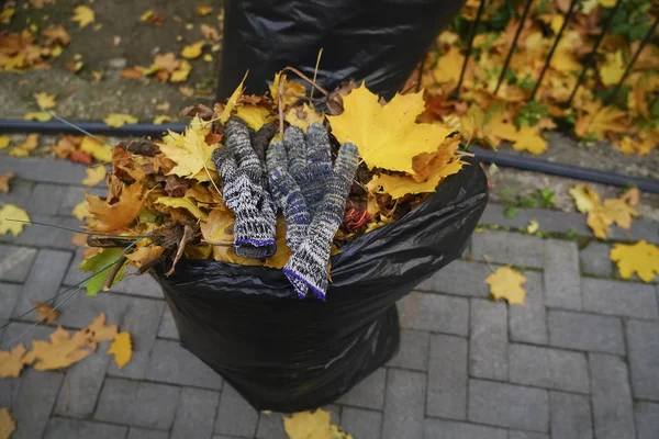 在公园的路上放着手套的满满的垃圾袋 — 图库照片