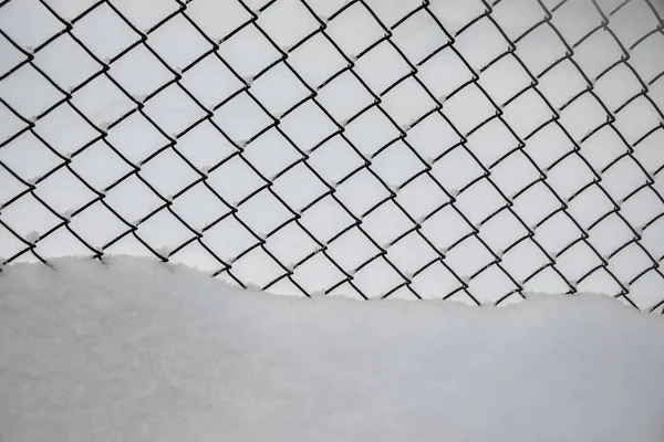 Mesh Netting Rabitz Covered Snow Background Texture — Stock Photo, Image