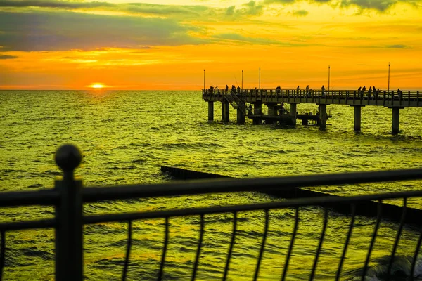 Silhouettes People Pier Naturw — Stock Photo, Image