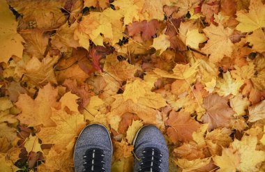 Düşen yapraklar üzerinde ayakkabı ile sonbahar arka plan.