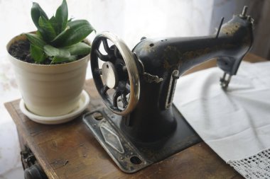 beyaz perdeler arka plan vintage dikiş mekanik makine. yakın yeşil bitki standı ile pot
