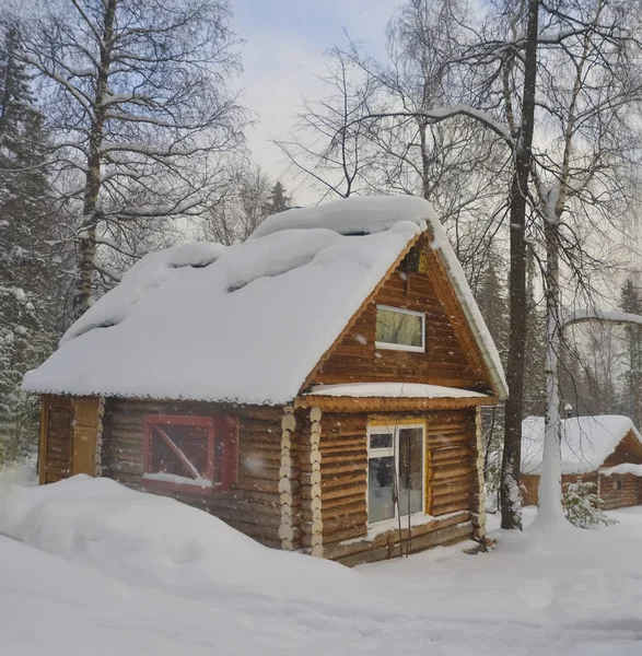 Casa Madera Bosque Temporada Invierno — Foto de Stock