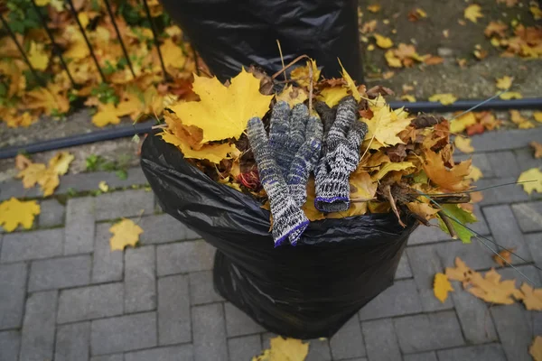 Deux Sacs Poubelle Pleins Avec Des Gants Sur Route Dans — Photo