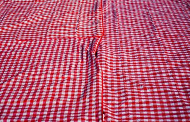 Kırmızı ve Beyaz şemsiye Plaidon yeşil çim zemin arka plan.