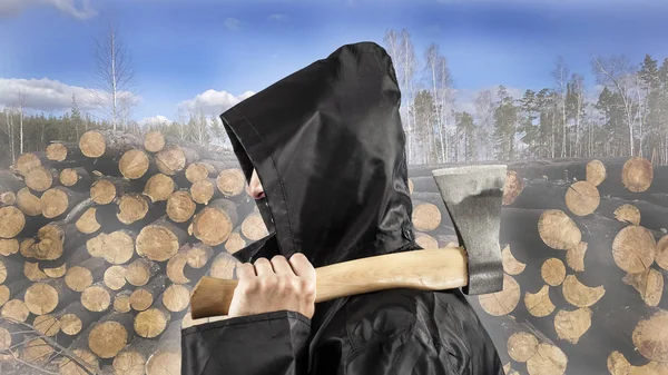 Cut logs of trees in summer forest and man in hood