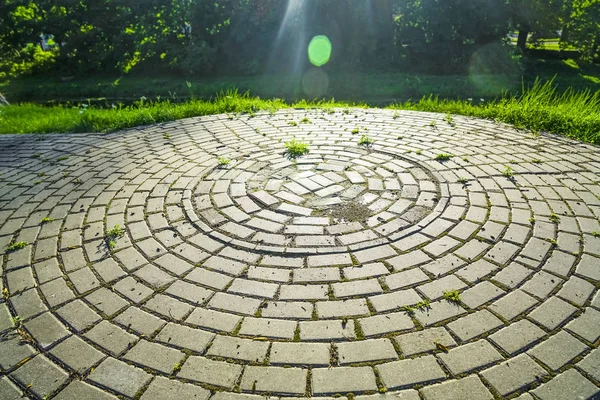 Rond Design Geplaveide Parkgrond Oppervlak Met Bomen Rondom — Stockfoto