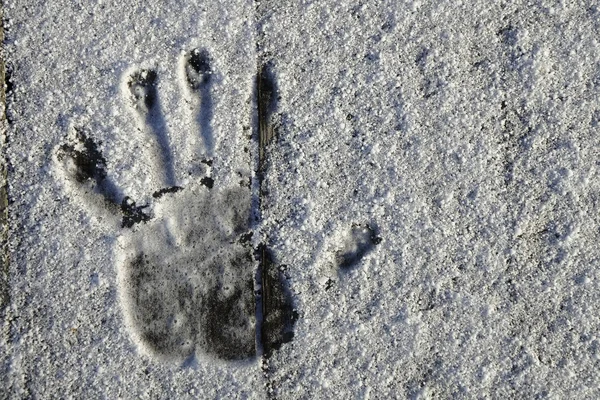 Отпечаток Руки Снега Деревянном Фоне — стоковое фото