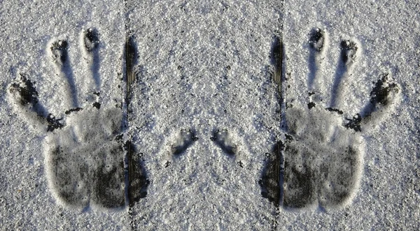 Huellas Mano Nieve Sobre Fondo Madera — Foto de Stock