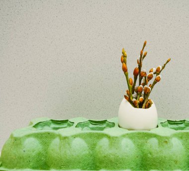 bahar tomurcukları içinde biri beyaz beyaz duvar kağıdı arka plan üzerinde yumurta. kağıt kutusu. Mutlu Paskalya.