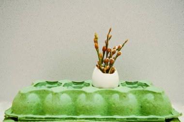 bahar tomurcukları içinde biri beyaz beyaz duvar kağıdı arka plan üzerinde yumurta. kağıt kutusu. Mutlu Paskalya.