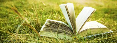 günbatımı kuru sarı yeşil taze çimenlerin üzerinde kitap