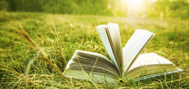 günbatımı kuru sarı yeşil taze çimenlerin üzerinde kitap