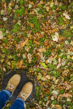 kahverengi ayakkabı kuru sonbahar yaprakları üzerinde duran adam