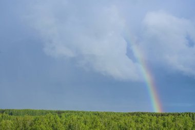 gökkuşağı sonra beyaz bulutların üzerinde orman mavi gökyüzü yaz yağmuru