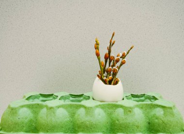 bahar tomurcukları içinde biri beyaz beyaz duvar kağıdı arka plan üzerinde yumurta. kağıt kutusu. Mutlu Paskalya.