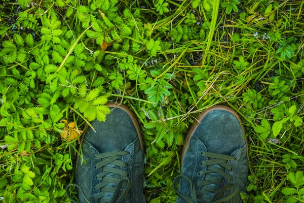 Zapatos Césped Sobre Fondo Hierba Verde Vista Superior —  Fotos de Stock
