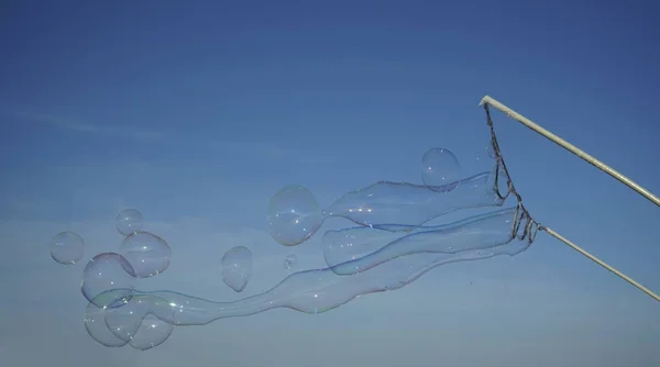 Big soap bubbles flying. Bubbles  show outdoors