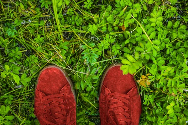 Vista Superior Zapatos Ejercicio Verdes Sobre Fondo Hierba Verde —  Fotos de Stock
