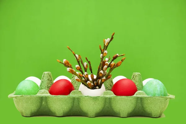 Ветки Бутонами Внутри Одного Белого Яйца Зеленом Фоне Обоев Бумажная — стоковое фото