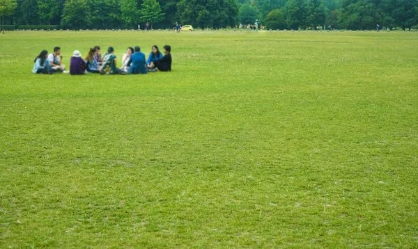 Çim Odaklanmak Nsanlar Bir Yaz Bahar Parkında Çimenlerin Üzerinde Oturarak — Stok fotoğraf