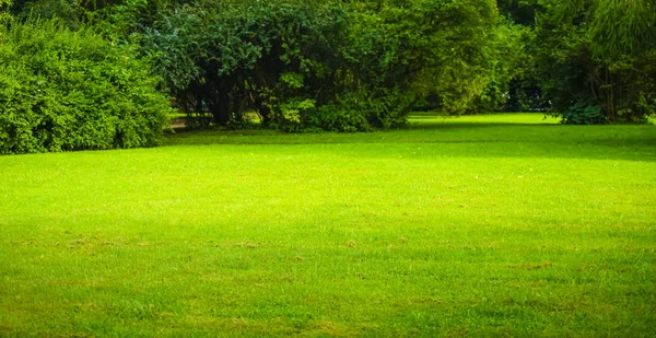 Groen Gras Gazon Weide Stadspark Buiten Achtergrond — Stockfoto