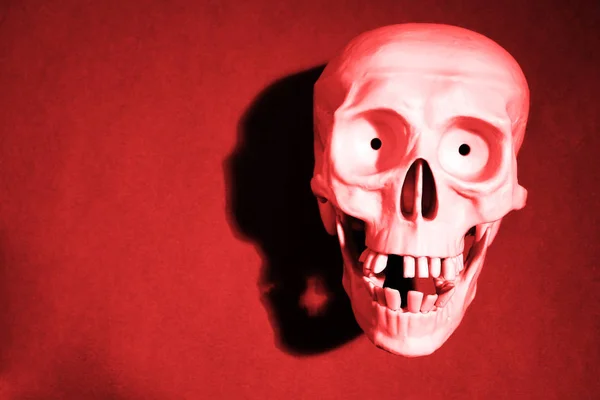 赤い背景の上の人間の頭蓋骨 — ストック写真