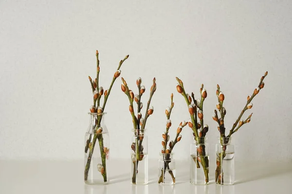 Branches Buds Little Glass Bottles — Stock Photo, Image