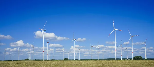 Viele Windräder Liegen Auf Feld Verstreut — Stockfoto