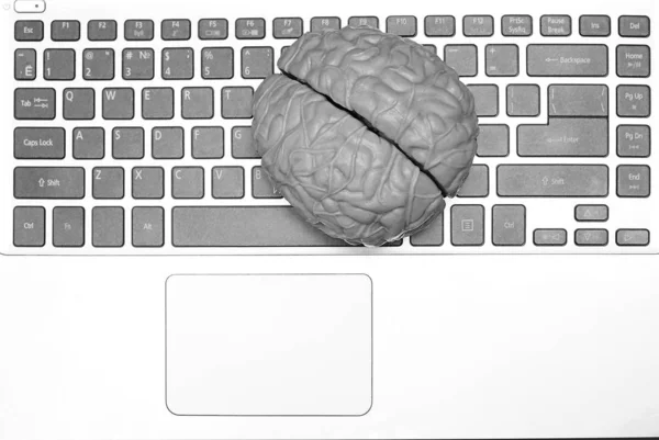 Top View Στο Γκρίζο Φορητό Και Ανθρώπινο Εγκέφαλο Στο Πληκτρολόγιο — Φωτογραφία Αρχείου