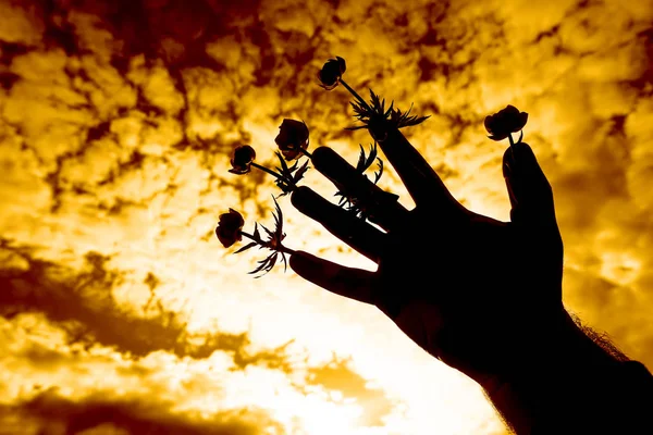 Цветы Приклеены Клеевым Пластырям Мужских Пальцев Небесный Фон Белыми Облаками — стоковое фото