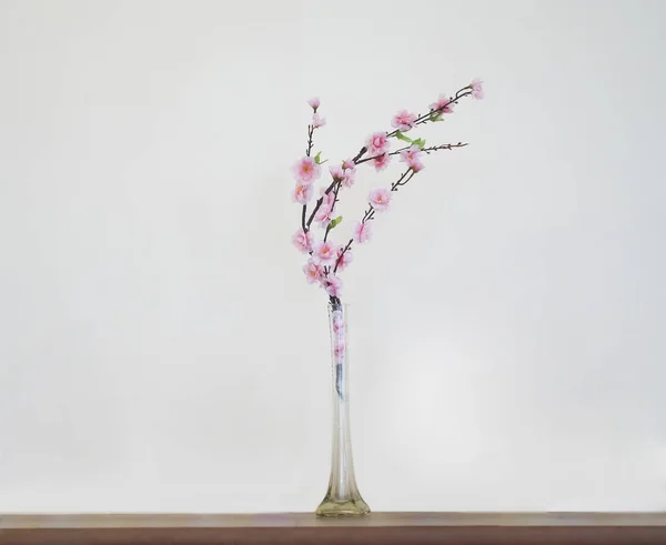 Pink Sakura Flowers Glass Vase White Wall Background — Stock Photo, Image