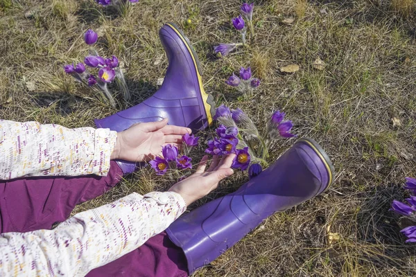 Botas Elegantes Violetas Flores Roxas Brilhantes Contra Grama Seca Fundo — Fotografia de Stock