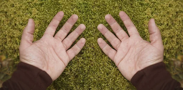 Manos Sobre Fondo Superficie Musgo Verde Espacio Copia Vacío — Foto de Stock