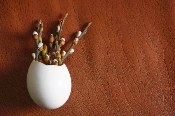 Bahar Dalları Ile Birçok Tomurcukları Beyaz Yumurta Içinde Boş Kopya — Stok fotoğraf