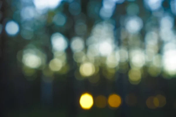 Grüner Bokeh Hintergrund Defokussierter Grüner Wald Verschwommener Hintergrund — Stockfoto