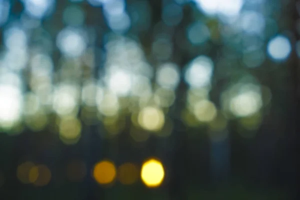 Green Bokeh Background Defocused Green Forest Blurred Backdrop — Stock Photo, Image